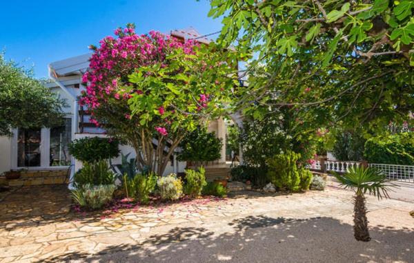 Apartment "Marija" - Otok Vir Exterior foto